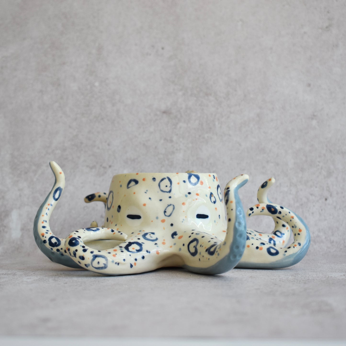 Maceta Pulpo Rubén