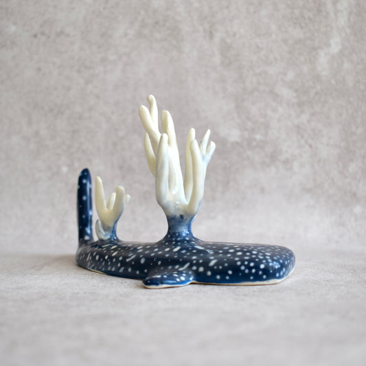 Tiburón ballena con corales