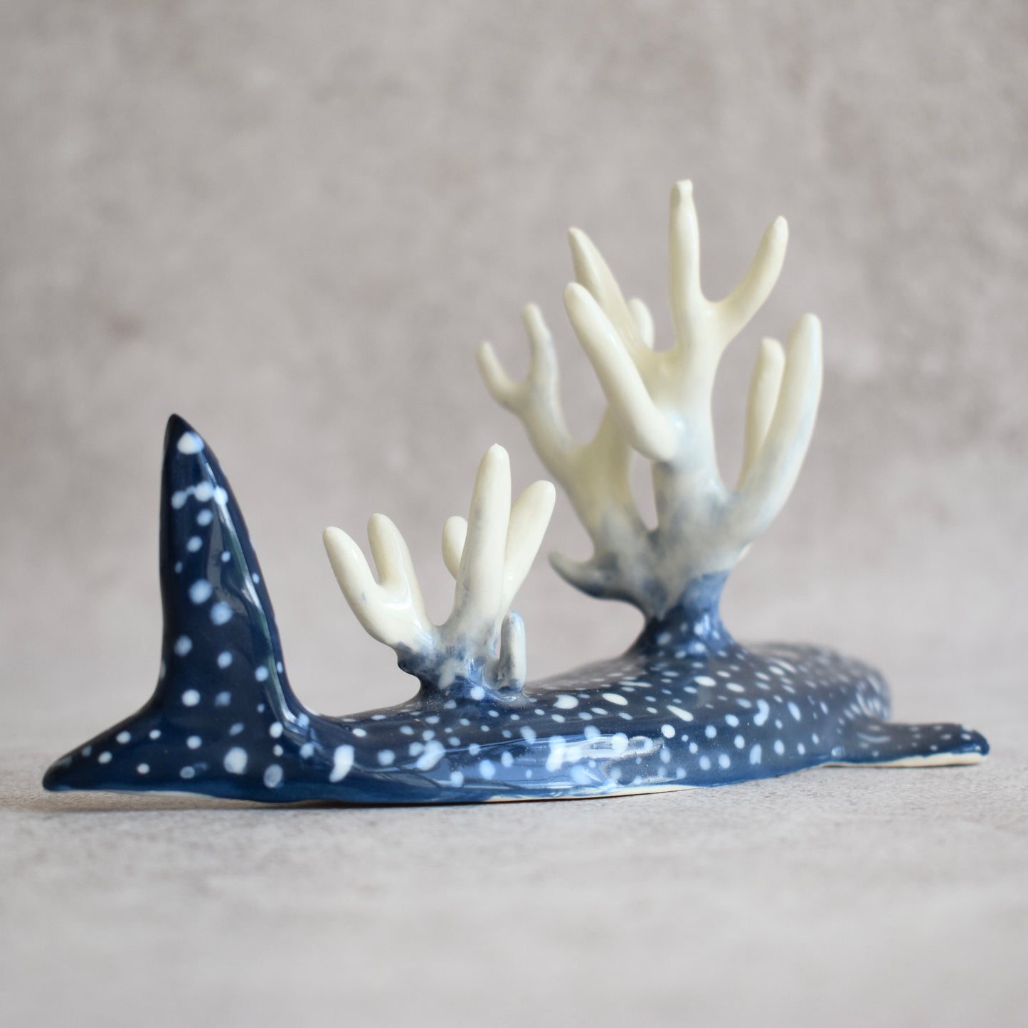 Tiburón ballena con corales