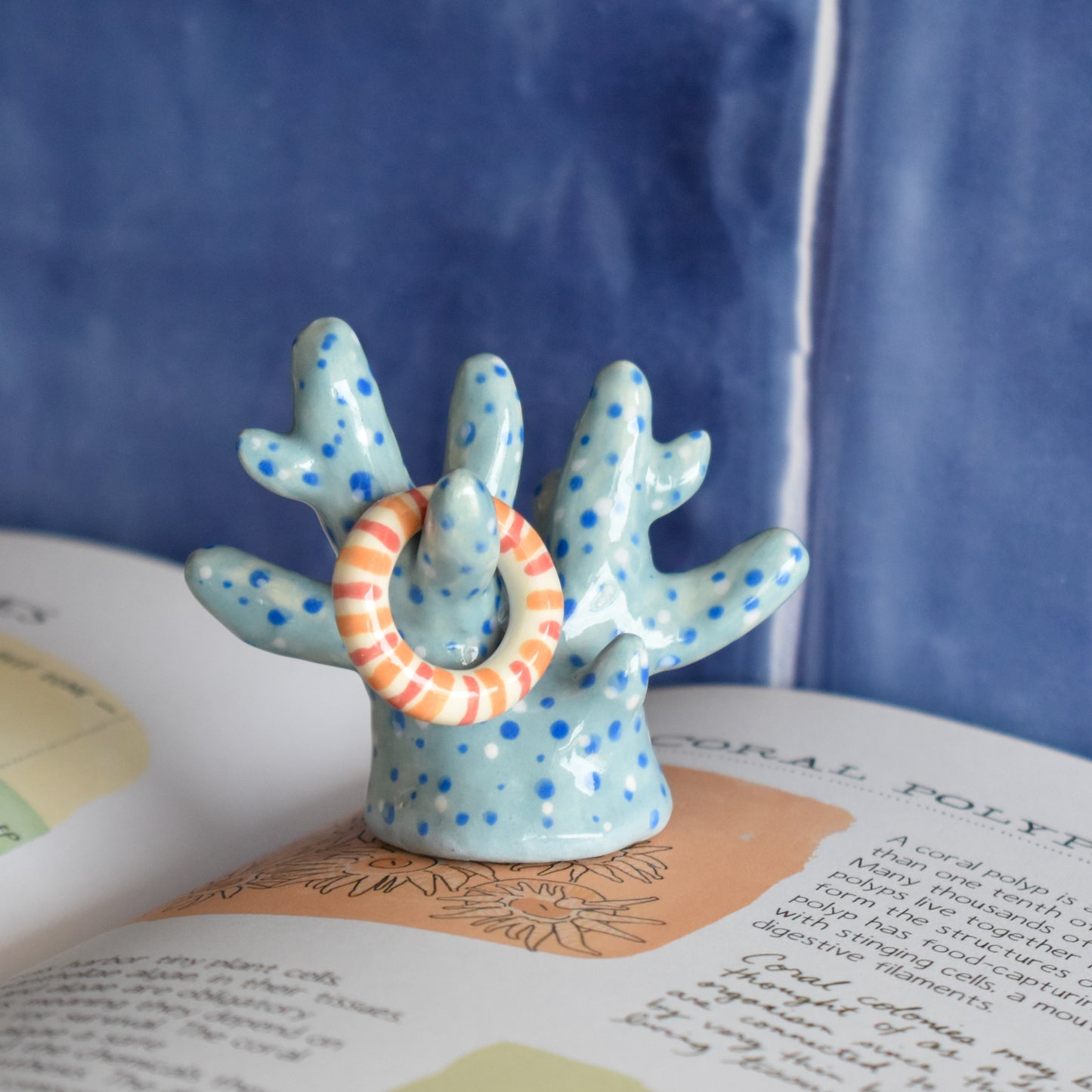 Coral azul claro porta anillos