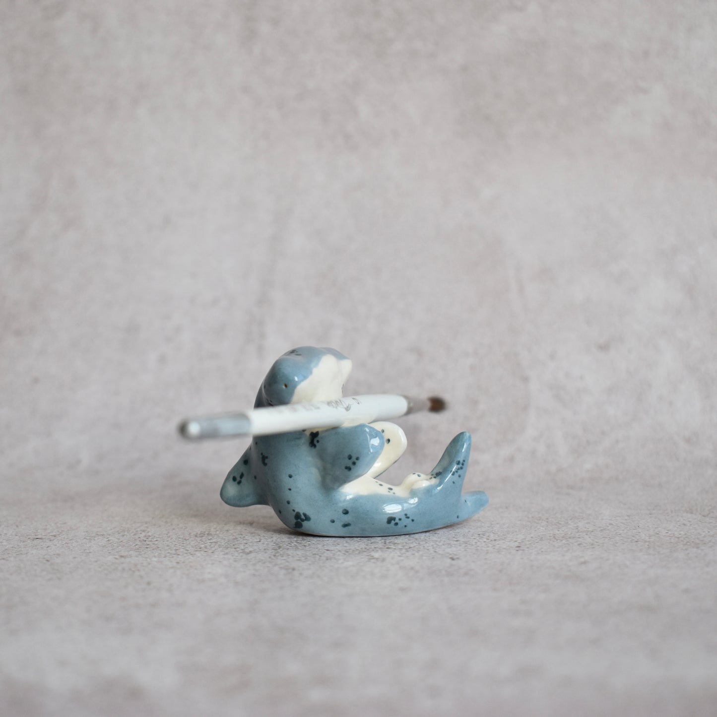 Mini tiburón martillo sentado