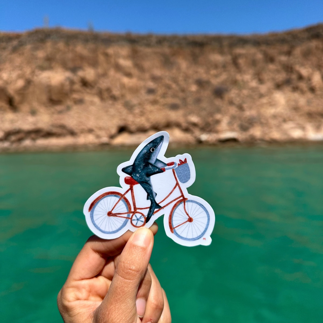 Sticker tiburón en bicicleta