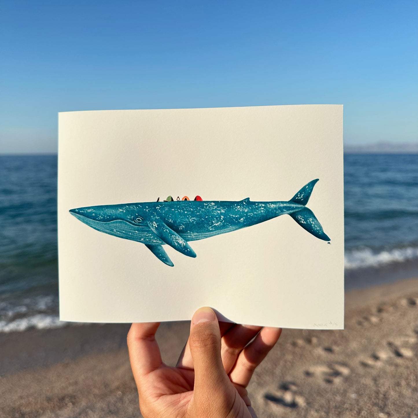 Print Ballena Azul con campistas