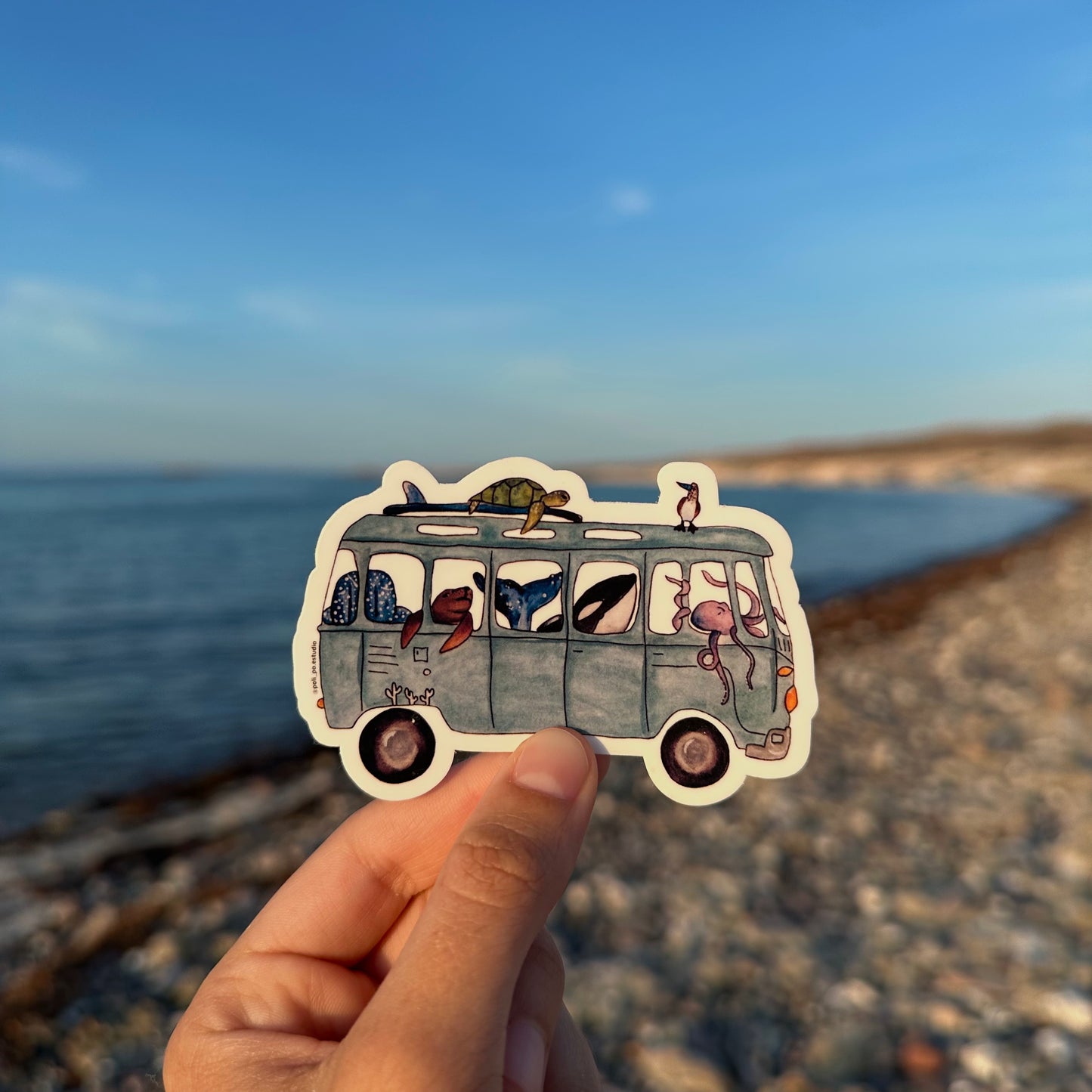 Sticker de combi marina