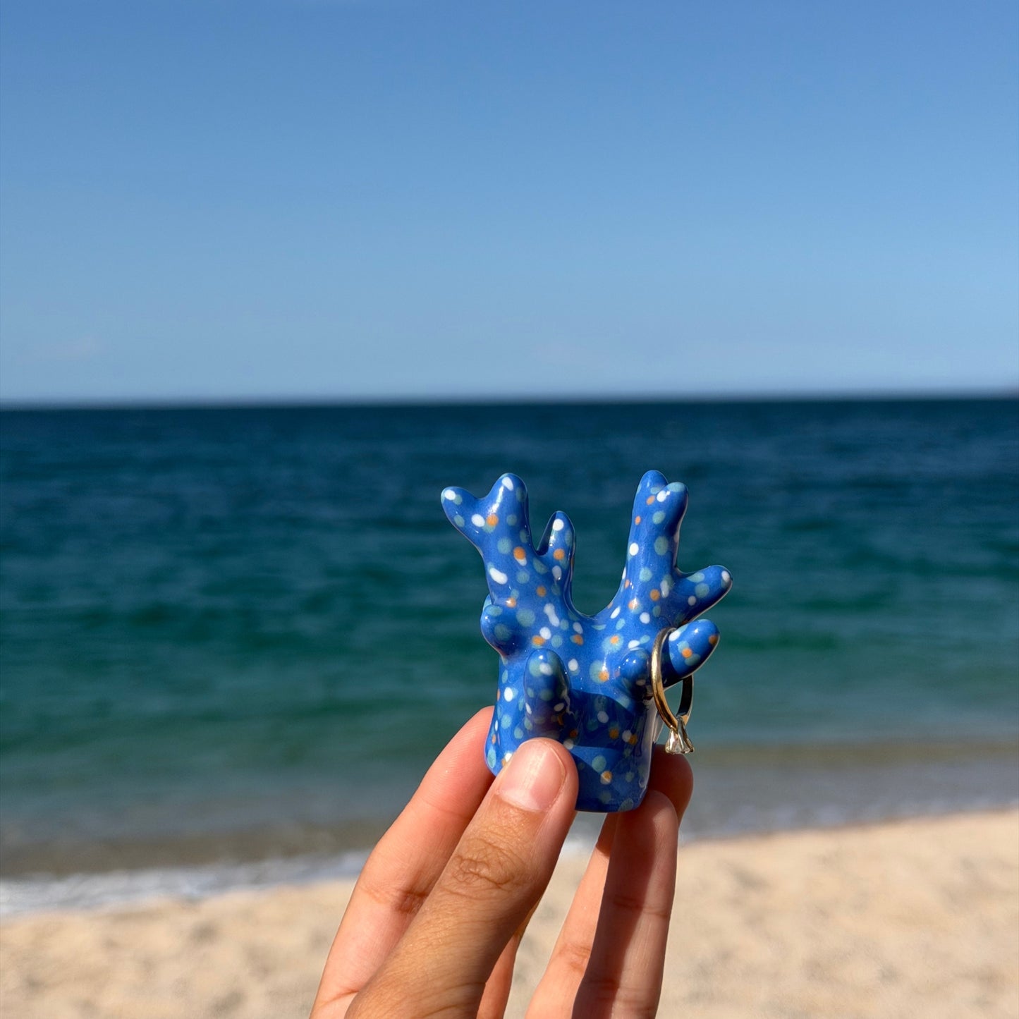 Coral azul rey porta anillos