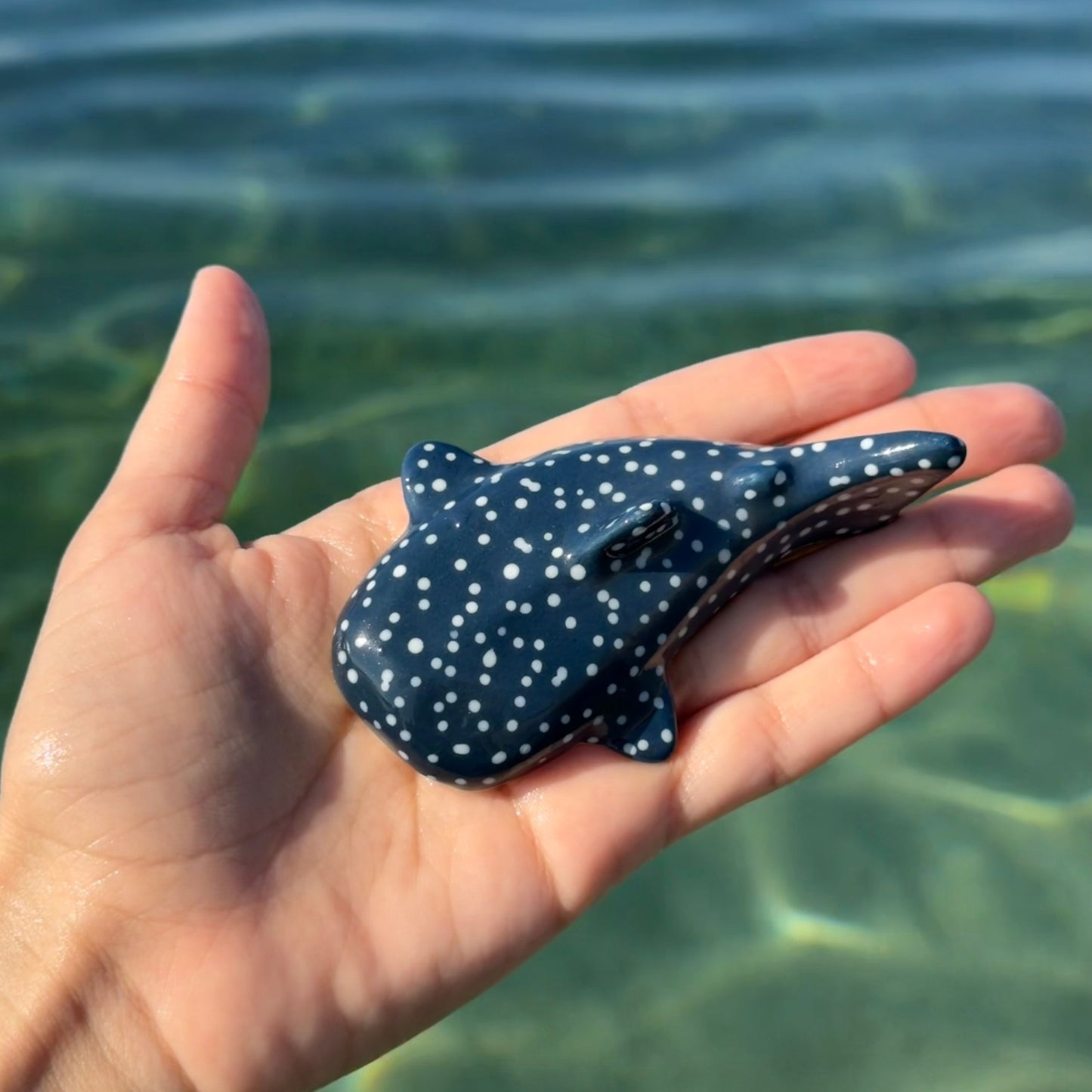 Tiburón Ballena