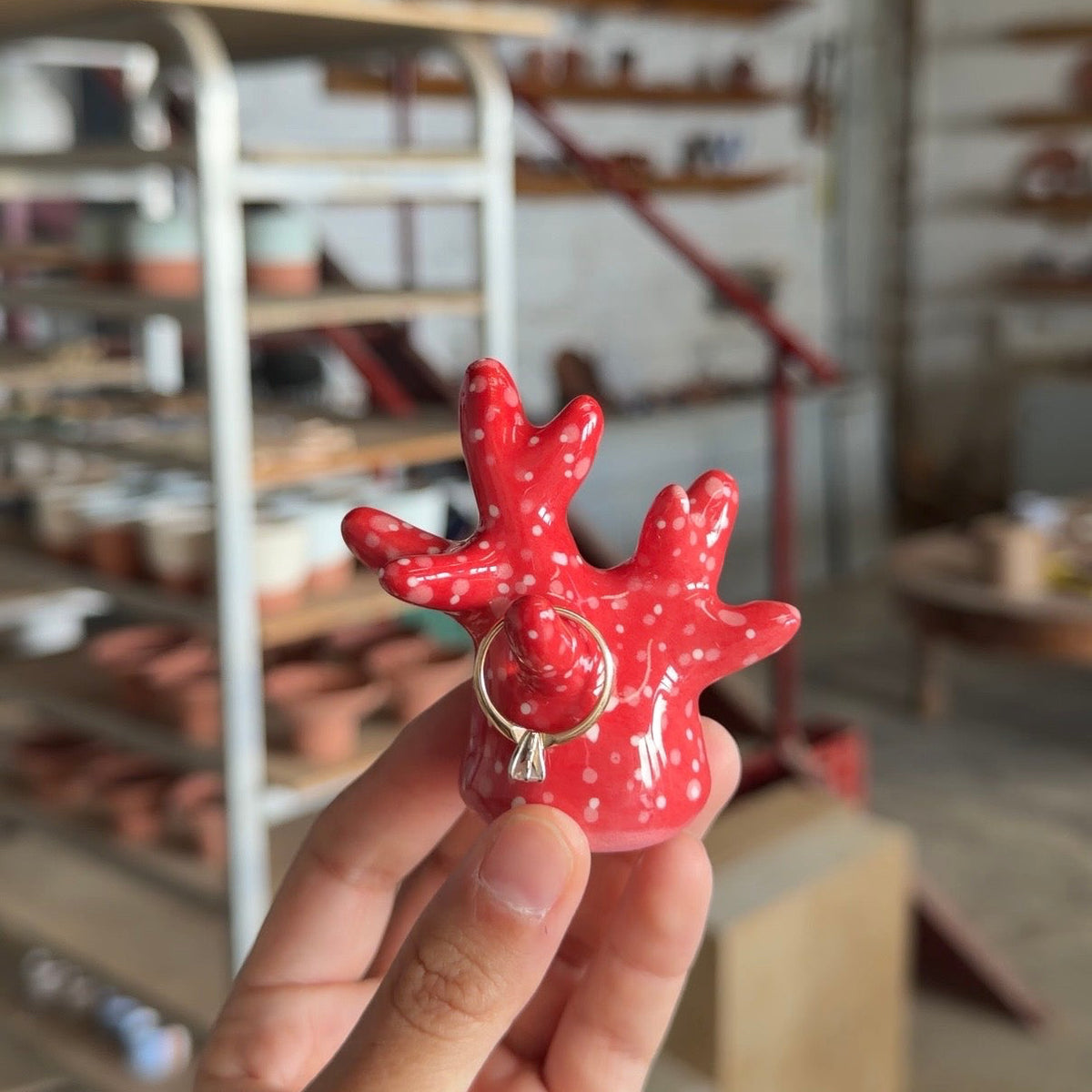 Coral rojo porta anillos