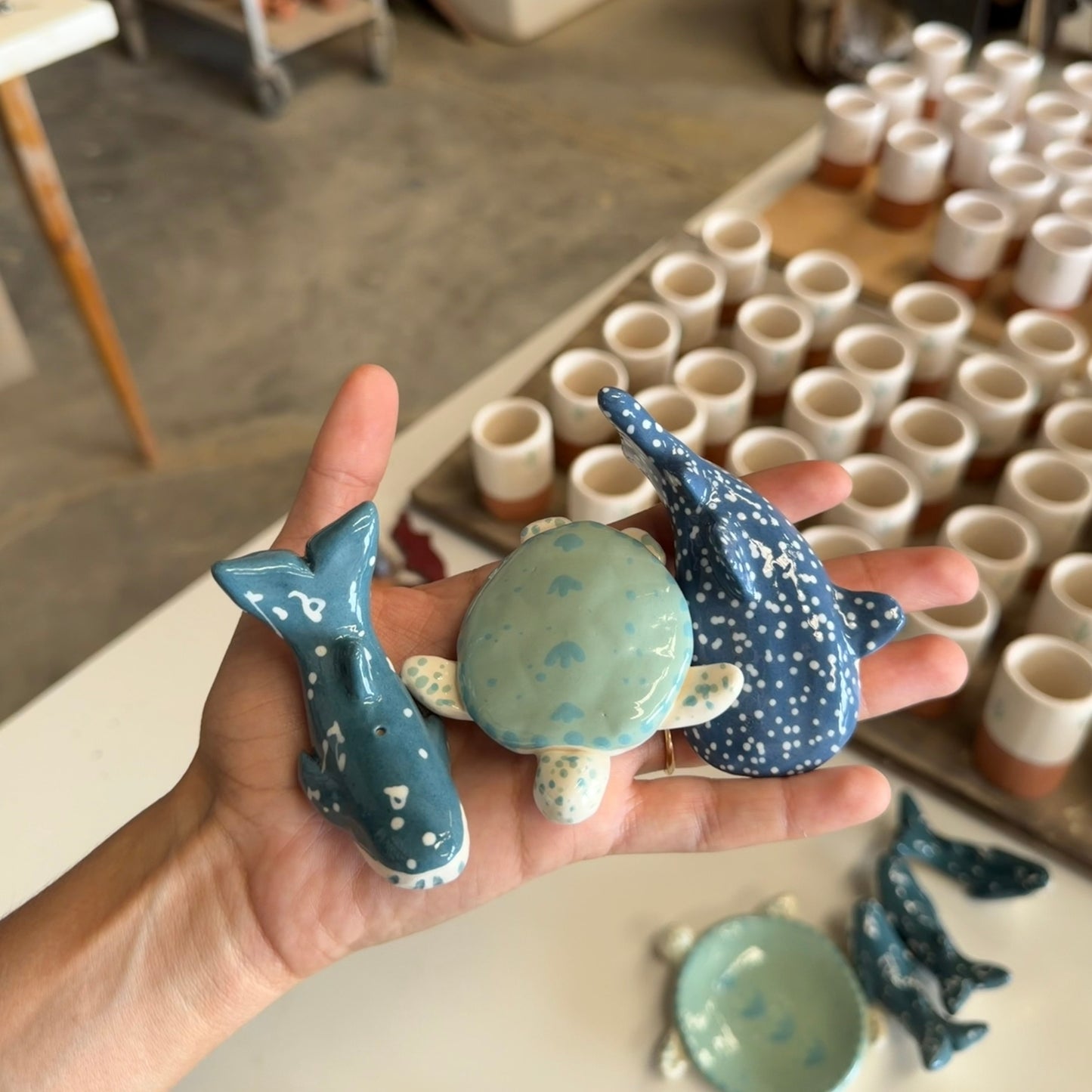 Ballena Jorobada