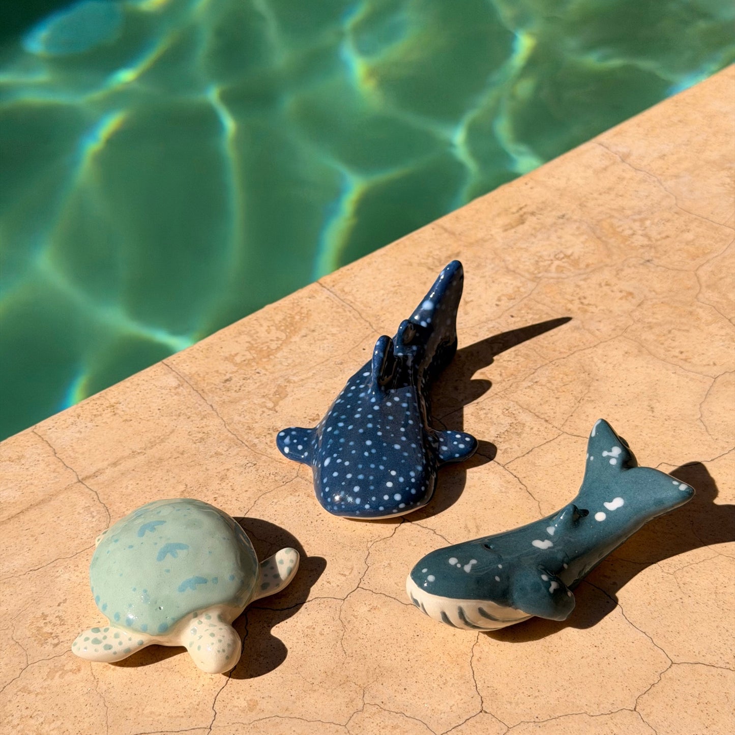 Ballena Jorobada