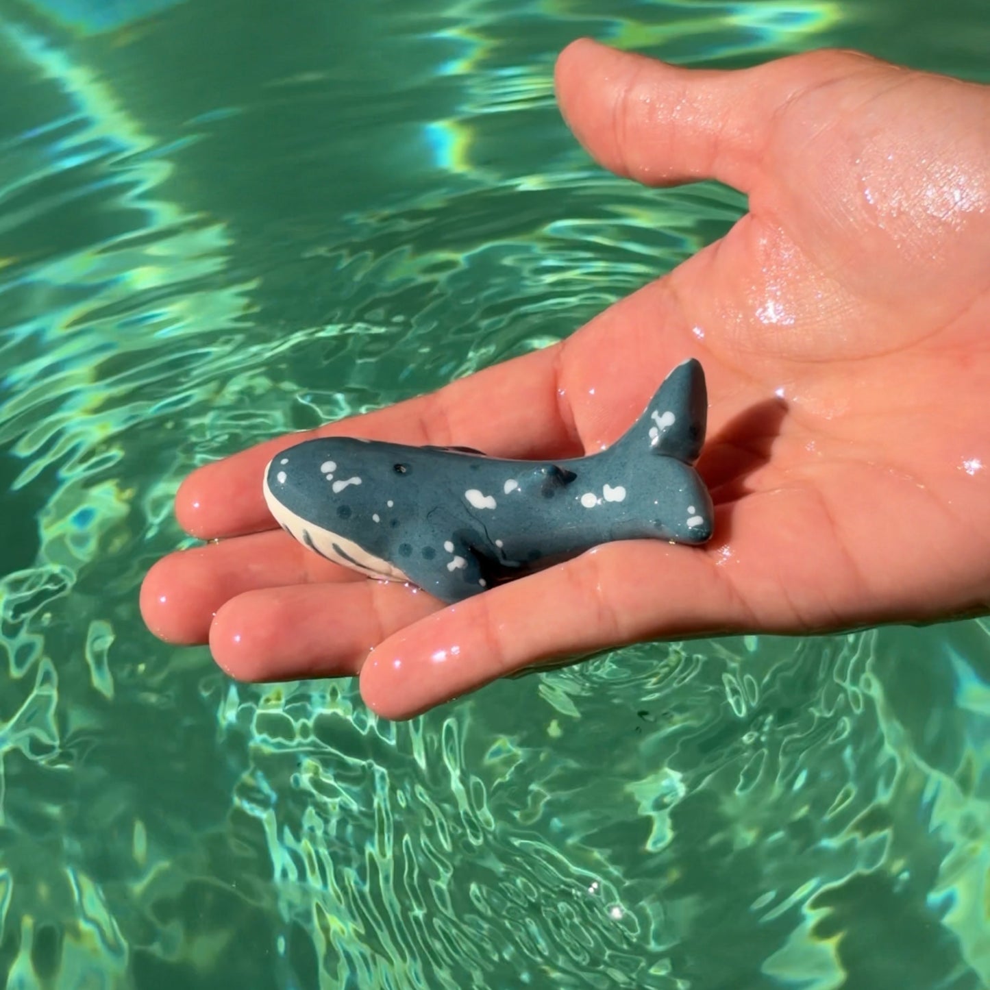 Ballena Jorobada
