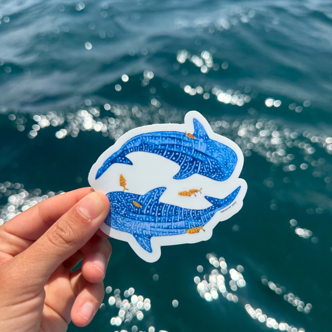 Stickers tiburones ballena