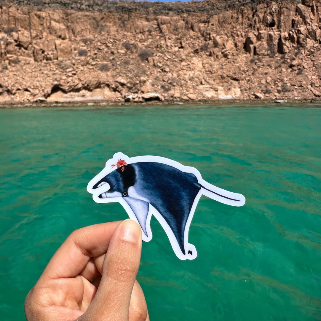 Sticker de móbula