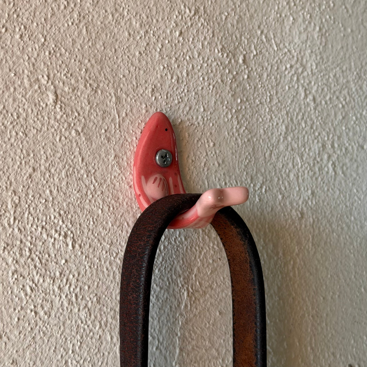 Ganchito de pez rojo