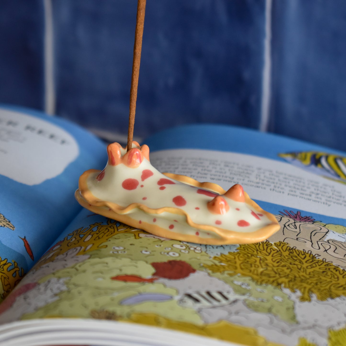 Nudibranquio portaincienso