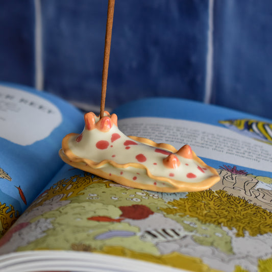Nudibranquio portaincienso