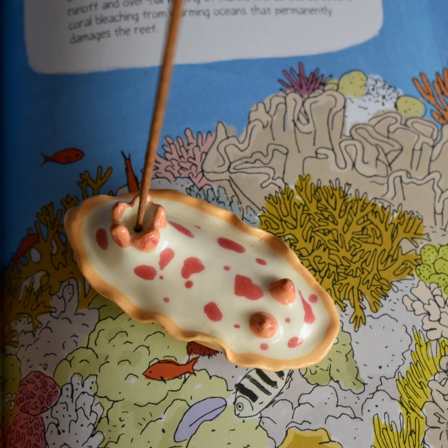 Nudibranquio portaincienso