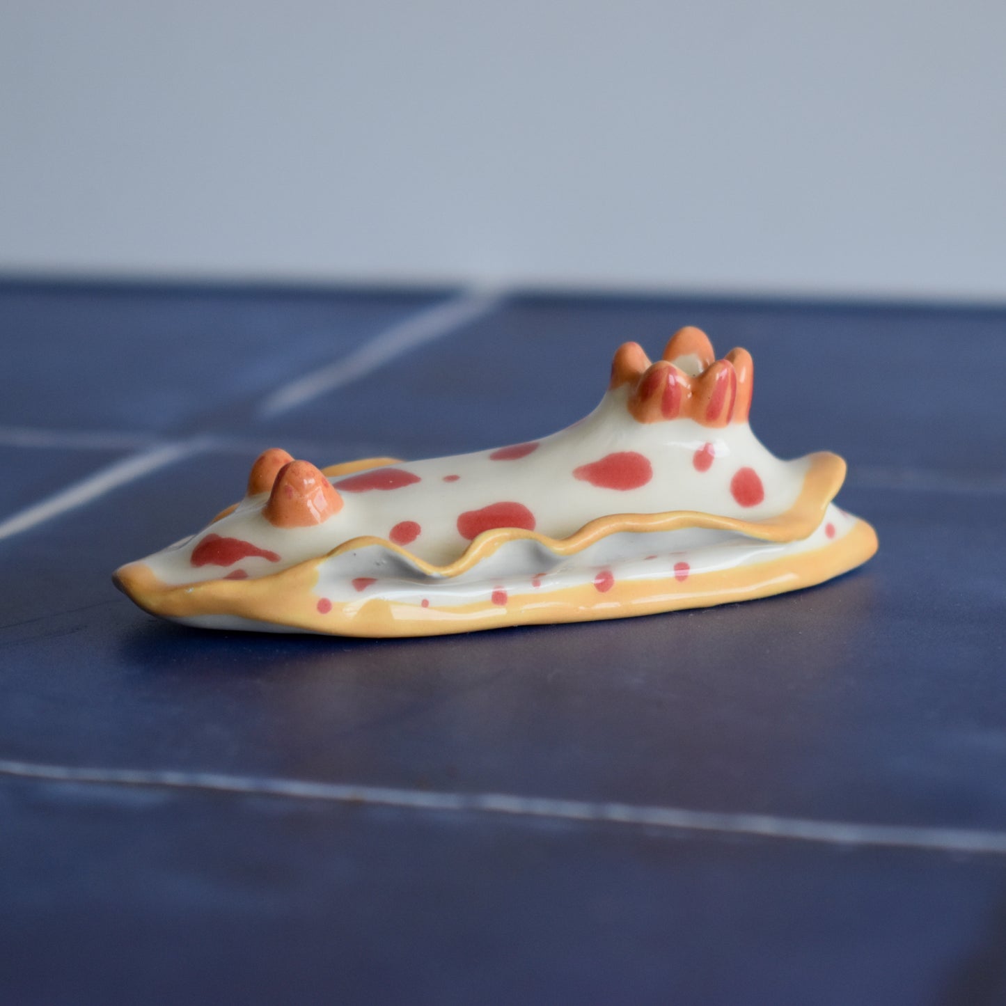 Nudibranquio portaincienso