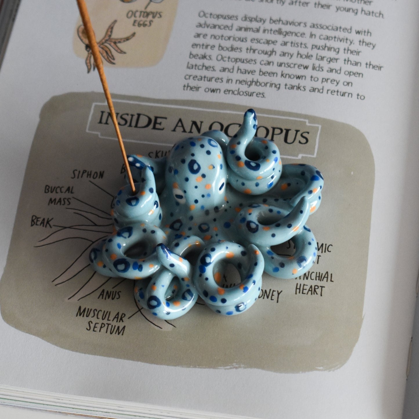 Pulpo azul claro portaincienso