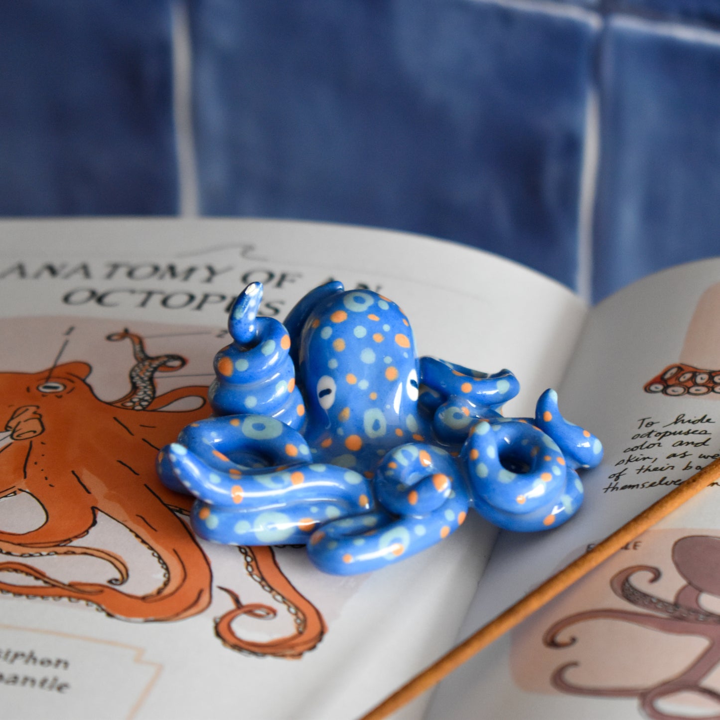 Pulpo azul rey portaincienso