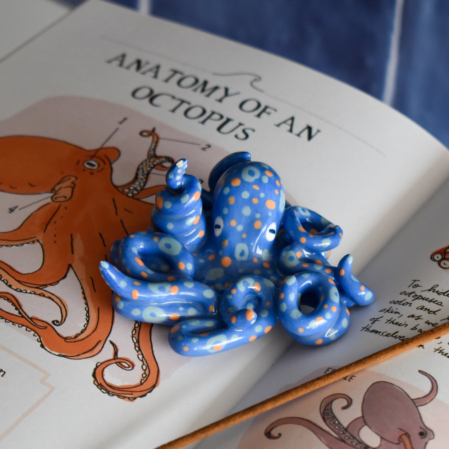 Pulpo azul rey portaincienso
