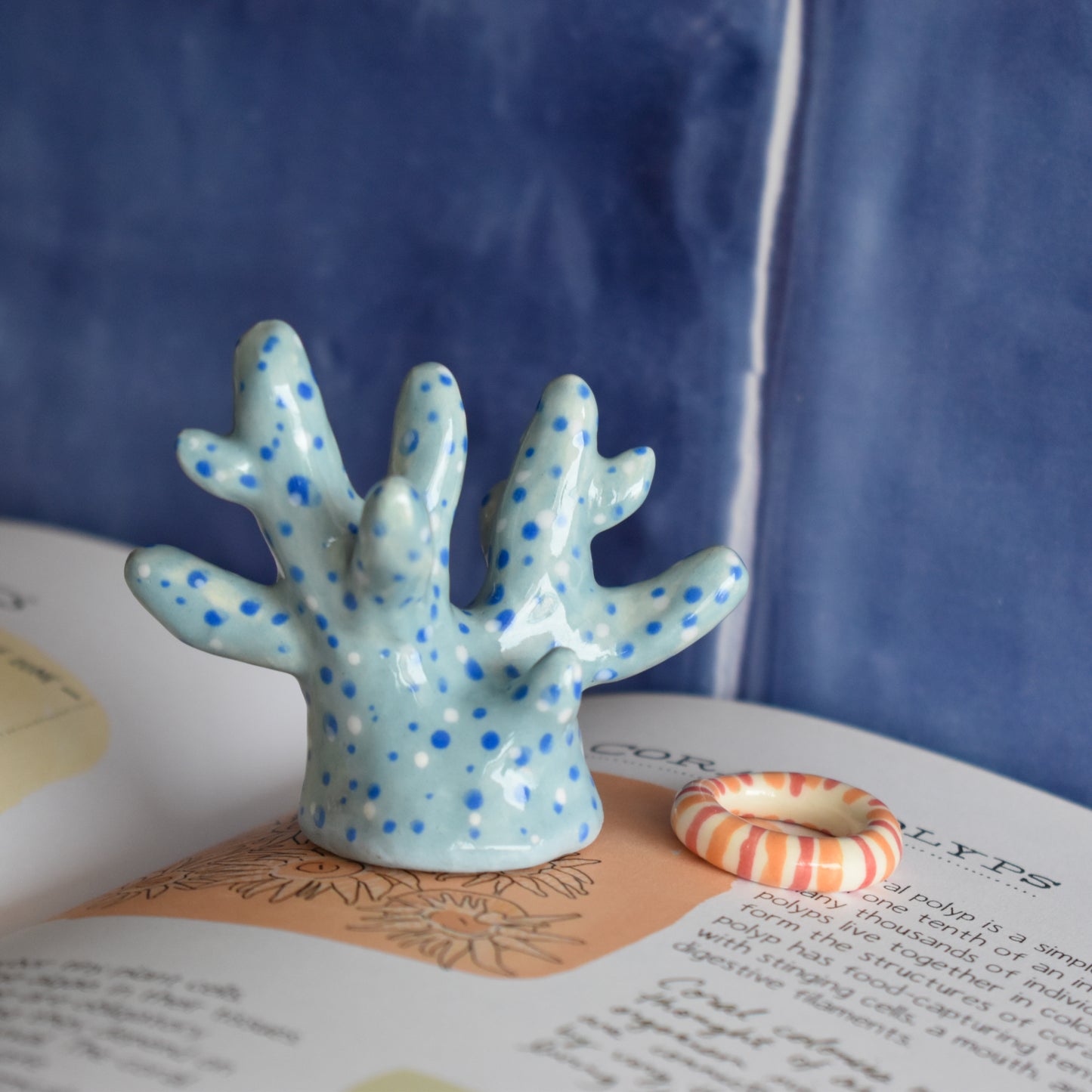 Coral azul claro porta anillos