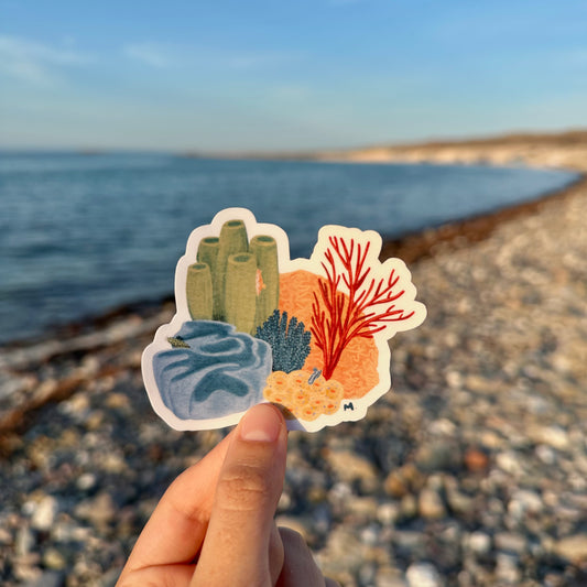 Sticker Arrecife
