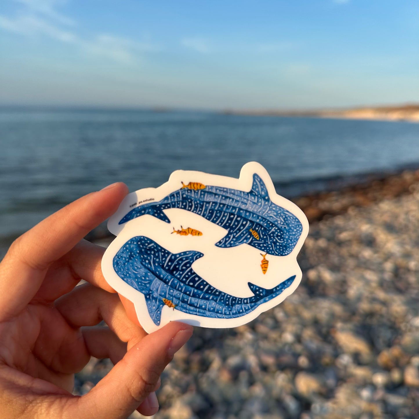 Stickers tiburones ballena