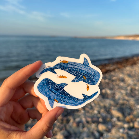 Stickers tiburones ballena
