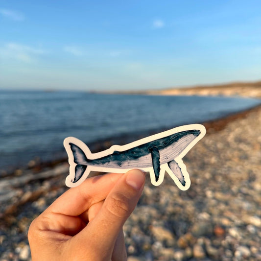 Sticker de ballena jorobada