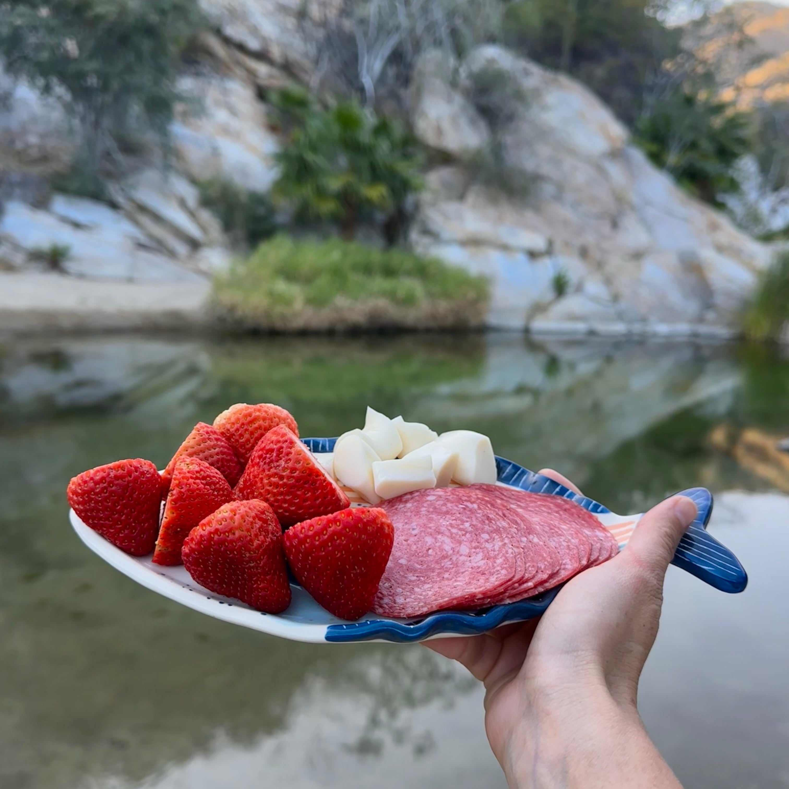 Bandeja de pez de cerámica con comida