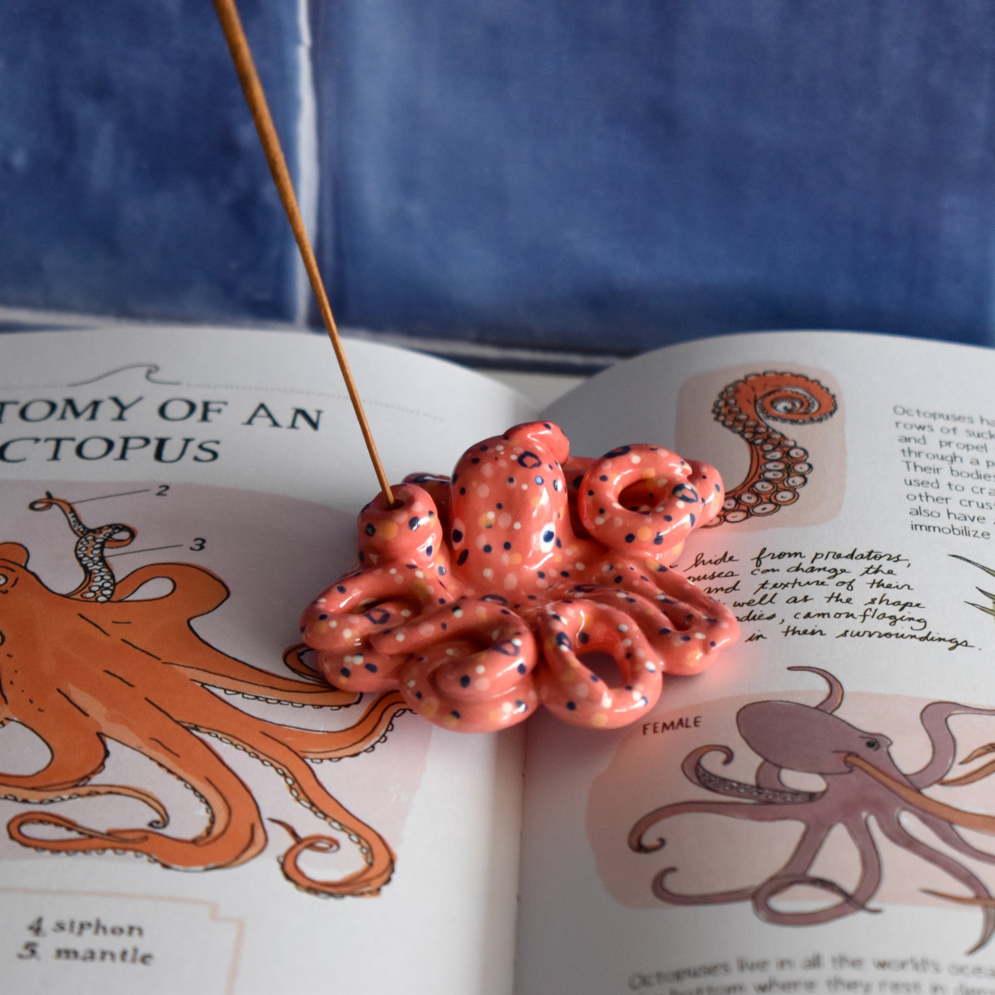 un pulpo rojo de cerámica